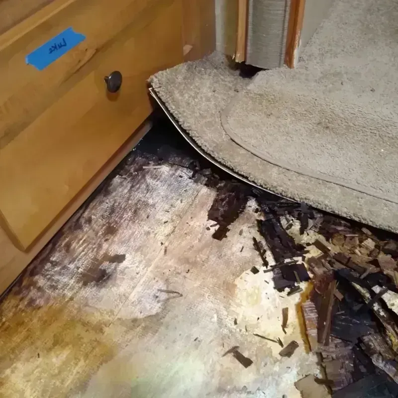 Wood Floor Water Damage in Brent, AL